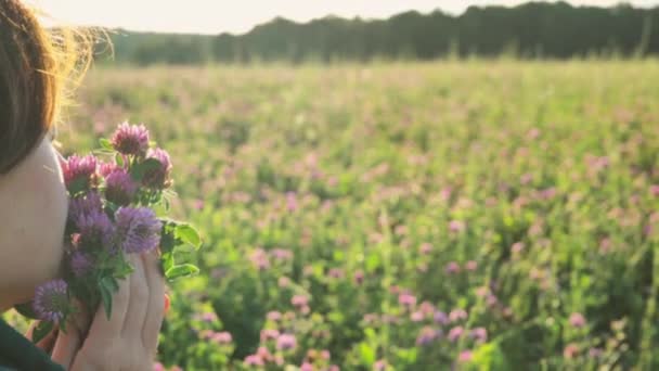 Kadın Yonca Tarlasından Kırmızı Yonca Kokusu Alıyor Kadınların Sağlık Çiçekleri — Stok video