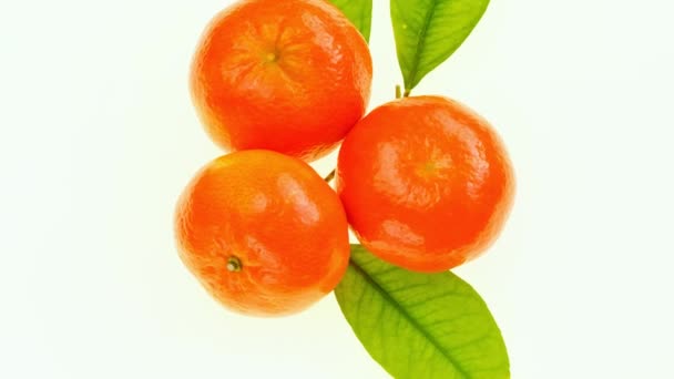 Mandarinen Mit Grünen Blättern Vor Weißem Hintergrund Quelle Von Vitamin — Stockvideo