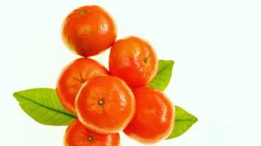 Beyaz arka planda yeşil yapraklı mandalina meyvesi. Citrus meyvesi. Yeşil yapraklı taze Mandarine meyveleri. Organik tarım biyolojik ürünleri. C vitamini kaynağı. 4K görüntü.