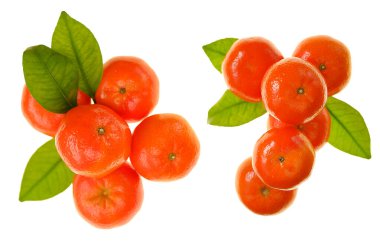 Beyaz arka planda yeşil yapraklı mandalina meyvesi. Mandalina, beyaz arka plan üzerine kolaj hazırladı. Turunçgil meyvesi. Yeşil yapraklı taze Mandalina meyveleri. Organik tarım ürünleri.