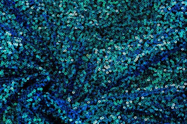 Sequin sim arka plan. Yeşil ve mavi pullu doku. Yüzey dokusunu mavi-yeşil tonlarda sergiler. Güzel, parlak bir arka plan, soğuk mavi tonlarda.