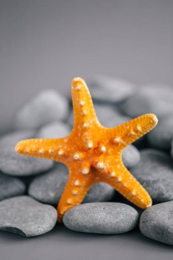 Gri çakıl taşları ve deniz yıldızı dokusu. Deniz altyapısı turuncu-gri tonlarda. Denizcilik dekorasyonu. SEA fotoğraf kağıdı. Gri arkaplanda gri taşlı denizyıldızı.