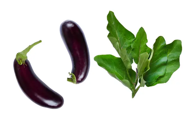 stock image Eggplant set with leaves isolated on white background.Vegetarian Diet Low Calorie Vegetables. Dark colored vegetables on white background. 