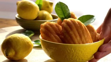Lemon Madeleine. El masaya bir fincan kurabiye koyar. Sarı seramik bir kasede Madeleine bisküvisi ve yeşil yapraklı limon meyveleri batık görüntülerin parlak ışınlarında
