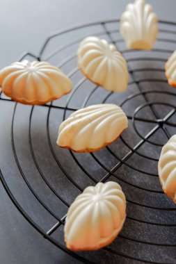 Madeleine kurabiyeleri, siyah bir arka planda ızgaranın üstünde tereyağlı krema. Fransız kurabiyeleri.. 