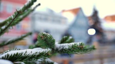 Noel paten pisti, dallar ve buz pateni pistinin arka planı. Kış tatili. Bulanık. Yumuşak odaklanma. Kış buz pateni pistinde Noel ağacı olan bir sürü insan.. 