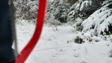 Noel ağacı seçimi. Testereli bir aile kış kreşinde Noel ağacı almaya gider. Karda insanların ayaklarına yakın çekim. Aile Noel geleneği. 4k görüntü