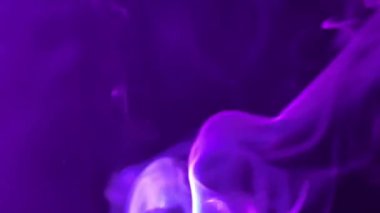 Mor Işıkta Beyaz Duman. Duman Duman Kağıdı. Beyaz Duman girdapları, canlı mor renklerin arkaplanına karşı zarif bir şekilde dans ediyor. 4k görüntü
