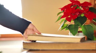Noel kitapları. El kitaplarını parlak bir odada kırmızı noktalı arka plan üzerine istifliyor. Noel ve kış temalarıyla ilgili kitaplar. Kış kitapları. Kış mevsiminde samimi okumalar. Yüksek kalite 4k görüntü