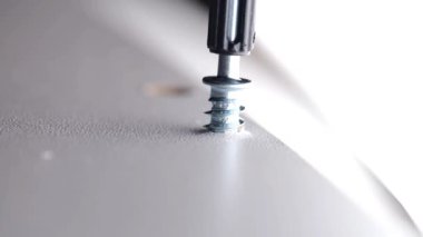 Yakından vidalama. Mobilya montajı. Bir vida ve matkap makro atışı. Matkap, metal vidayı tahta tahtaya vidalıyor. İnşaat ve marangozluk işi. 4k görüntü