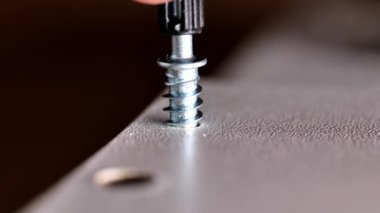Bir vidayı yakın çekimde vidalamak. Matkap, metal bir vidayı tahta bir tahtaya vidalıyor. İnşaat ve marangozluk işi. Mobilya montajı. 4k görüntü