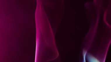 Siyah arka planda pembe duman. Dumanlı zikzaklar ve dalgalar. Mor mavi duman, arka planda sisli ve dumanlı gizemli bir atmosfer oluşturur. 4k görüntü