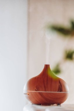 İçerideki havanın nemlendirilmesi. Hava nemlendirmesi. Parlak bir odada ahşap hava nemlendirici. Su buharı. İç mekanda sağlık aletleri. Sağlık ve konfor kavramı. 