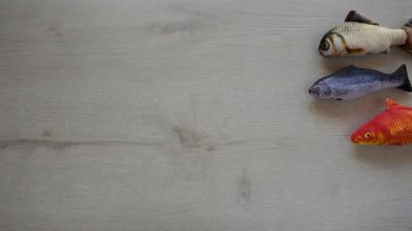 Kedi Balık Oyuncakları. Hareket etmeyi kes. Balıklar bej renkli ahşap arka planda yüzüyor. Kediotu Balıkları. Kedi oyunları ve spor için oyuncaklar. Evcil hayvan aksesuarları ve oyuncaklar. 4k görüntü