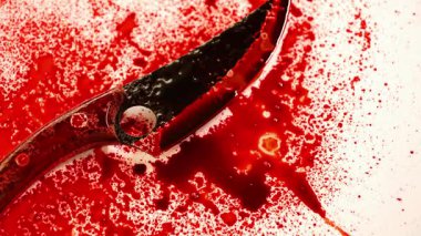 Kanlı bıçak. Keskin bıçak. Kan izleri ve sıçramalarla kaplı. Suç ve cinayet.