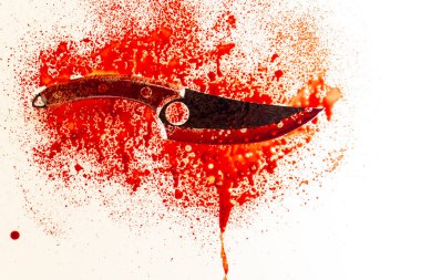 Bıçak kan izleri ve sıçramalarla kaplı. Bıçağın üzerine kan damlaları düşüyor. Kan içinde soğuk bir silah. Suç mahallinde kanıt ve silah kaydı.