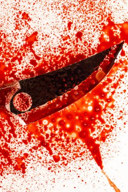 Suç mahalli. Kanlı bıçak. Adli soruşturma. Kanda soğuk silah. Olay yerinde kanıt ve silah kaydı.