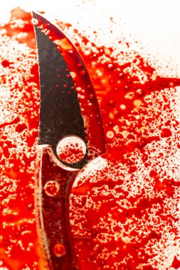  Kanlı kanıt. Bıçaklı kanlı duvar kâğıdı. Suç ve cinayet. Olay yerinde delil ve silah kaydetmek..