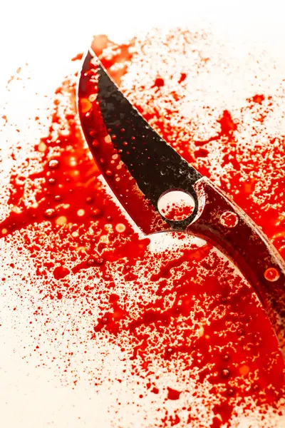 Kırmızı Sıçrayan Bıçak. Suç mahalli. Bıçağın üstüne kan damlaları. Kana bulanmış soğuk bir silah. Suç mahallinde kanıt ve silah kaydı.