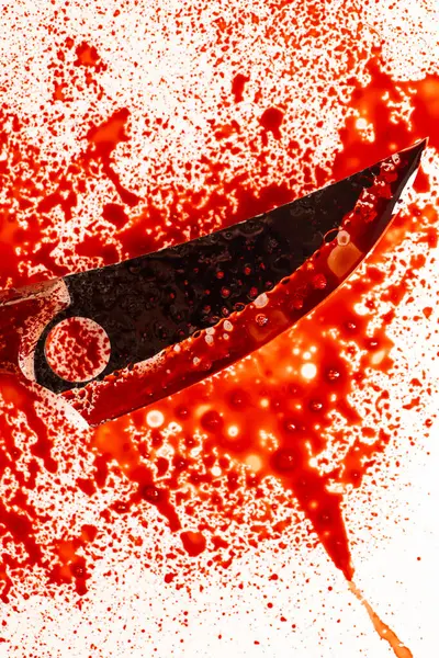 Suç mahalli. Kanlı bıçak. Adli soruşturma. Kanda soğuk silah. Olay yerinde kanıt ve silah kaydı.