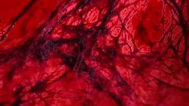 Ürkütücü kanlı kumaş arka plan. Cadılar Bayramı duvar kâğıdı. Suçlu duvar kağıdı. Kanlı çizgiler ve iplikler.. 