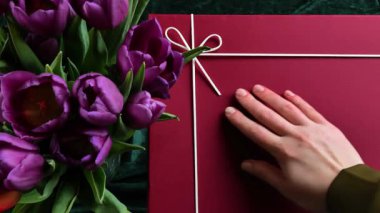 Hediyeler ve çiçekler. El, yanında mor laleler olan kırmızı hediye kutusunun üzerinden geçiyor. Mor laleli Hediye Kutusu. Anneler Günü ve Uluslararası Kadınlar Günü hediyeleri. 4k görüntü