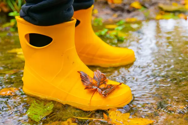 Sonbahar akçaağaç yapraklı su birikintisinde sarı lastik çizmeler. Sonbahar havası ve doğa sembolü. Sonbahar nemli atmosferi..