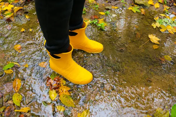 Sonbahar havası için lastik botlar. Lastik botların içindeki ayaklar su birikintisinin içine sıçrıyor. Sonbahar akçaağaç yapraklarıyla dolu bir su birikintisinde sarı lastik çizmeler içinde bacaklar.