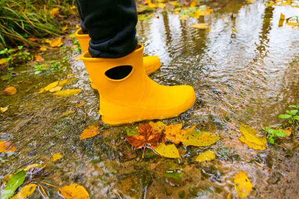  Sonbahar Yapraklarında Sarı Yağmurlu Çizmeler. Sonbaharda Sarı Lastik Botlar Sonbahar Yürüyüşü. Sonbahar havası için lastik botlar. Lastik botlar su birikintisinin içine sıçrıyor..