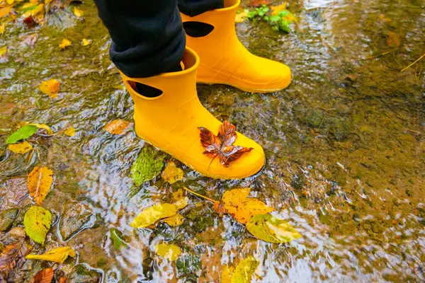 Sonbahar havası için lastik botlar. Lastik botların içindeki ayaklar su birikintisinin içine sıçrıyor. Sonbahar için ayakkabılar 