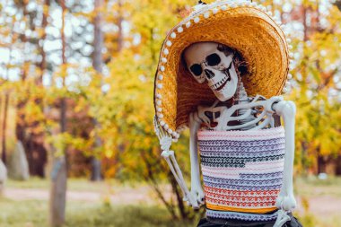 Dia de los Muertos. Şapkalı ve elbiseli bir iskelet, sonbahar parkında güneş ışınlarında balkabağı. Ölü cadılar bayramı sokak süslemeleri günü. Ölü Dekorasyonlar Günü.. 
