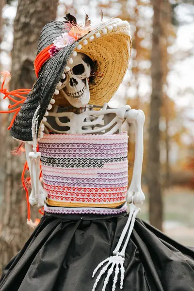  Dia de los Muertos.Cadılar Bayramı için Şenlikli Kostümlü İskelet Figürü. Ölü Dekorasyonları Günü. Ölüler Günü için Şen İskelet Giyen Sombrero..