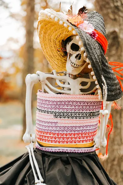 Ölüler Günü. Şapkalı ve elbiseli bir iskelet sonbahar parkında güneş ışığı altında balkabaklarıyla. Cadılar Bayramı Korkuluğu 