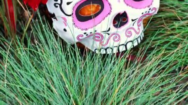 Dia de los Muerto. Festuca Grass 'ta Kafatası Maskesi. Meksika usulü Cadılar Bayramı. 4k görüntü