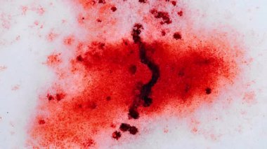 Beyaz kara kan damlıyor. Şimdi kan damlalarıyla dokular. Karda kan izleri. Suç mahalli. Kırmızı kan duvar kağıdı. 4k görüntü