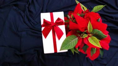 Noel tatilleri için sürprizler ve hediyeler. Kırmızı noktalar ve mavi arka planda kırmızı fiyonk olan hediye kutuları. 4k görüntü