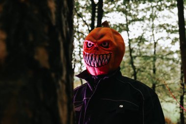 Jack Lantern 'in sonbahar ormanı arkaplanındaki portresi. Cadılar Bayramı bayramı sembolü.. 