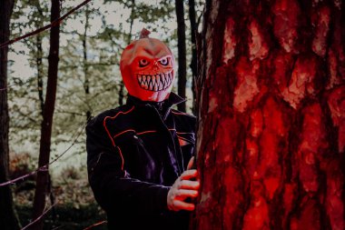 Balkabağı kafalı canavar ormandaki kırmızı ışığa. Cadılar Bayramı tüyler ürpertici ruh hali. Sonbahar ormanı arka planında Jack Lantern portresi.
