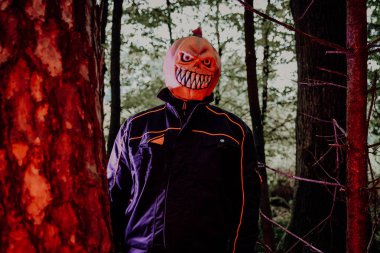 Ormanda Balkabağı Maskesi Kostümü. Balkabağı Kafa Canavarı Ormanda..