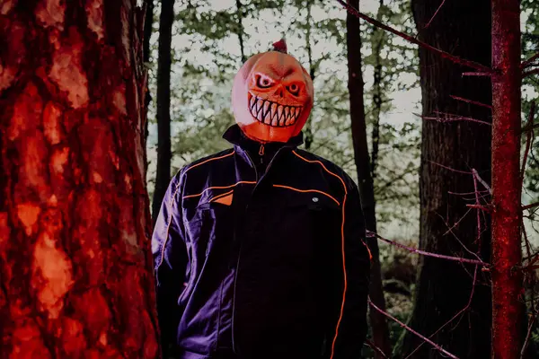 Ormanda Balkabağı Maskesi Kostümü. Balkabağı Kafa Canavarı Ormanda..