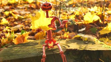 Sonbahar güneşli orman arka planında elinde akçaağaç sarısı yaprağı olan iskelet. Cadılar Bayramı geçmişi. 4k görüntü