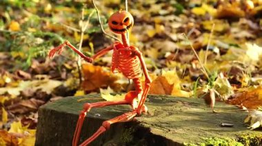 Cadılar Bayramı Duvar Kağıdı ve İskelet. Akçaağaç yaprağı. Cadılar Bayramı sokak deco 'su.. 