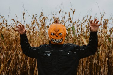  Korkunç Cadılar Bayramı Canavar Maskesi. Cornfield 'deki Balkabağı Maskeli Adam. Cadılar Bayramı için Cornfield' deki Balkabağı Maskeli Adam. fotoğraf