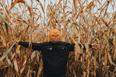 Cornfield 'da Balkabağı Kafa Saldırısı. Korkunç bir Cadılar Bayramı Maskesi Giyen Adam.. 