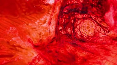 Fener ışığında kan dokusu. Suç mahalli. Kırmızı kan duvar kağıdı. Kırmızı kanla kaplanmış paslı yüzey.. 