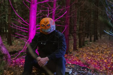 Balkabağı canavarı ürkütücü mavi ve mor bir ışıkta sonbahar ormanında oturuyor. Cadılar Bayramı tüyler ürpertici..