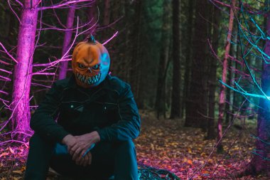 Cadılar Bayramı tatili. Balkabağı canavarı ürkütücü mavi ve mor ışıkta sonbahar ormanında oturur. Cadılar Bayramı ürpertici havası.. 