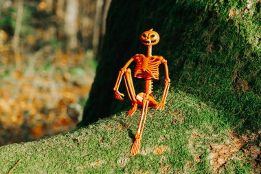  Mossy Tree 'deki Balkabağı İskelet figürü. Moss' taki Şenlikli Cadılar Bayramı İskelet Dekorasyonu. Turuncu iskeletli cadılar bayramı esprisi