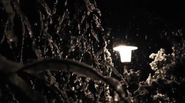 Kar yağışı. Buzlu dallar ve karanlık gökyüzü arka planındaki bir fenerin ışığında kar yağışı. 4k görüntü