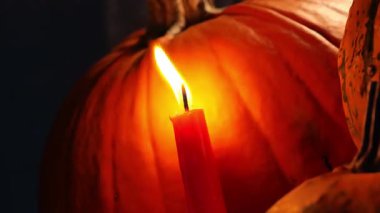 Karanlıkta mum yakan balkabakları. Cadılar Bayramı geçmişi. 4k görüntü